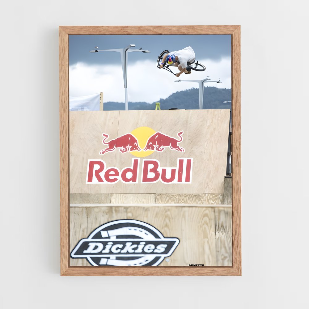 Poster Envol Urbain – affiche BMX (vue 4)